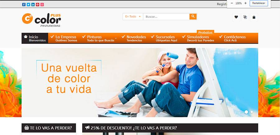 Sitio web de Color Plus Pinturerías diseñado por Pensamos Primero