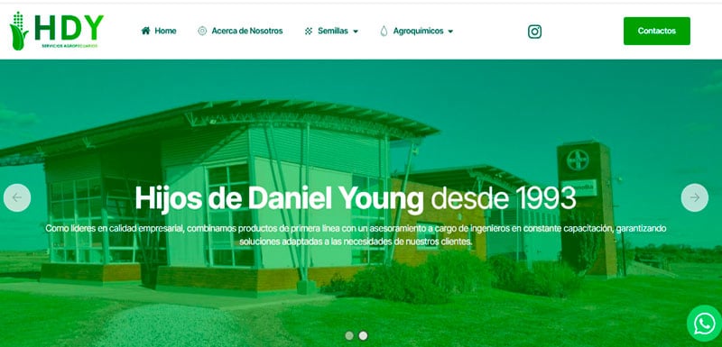 Sitio web de Hijos de Daniel Young S.A. diseñado por Pensamos Primero
