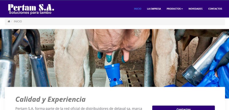 Sitio web de Pertam S.A. diseñado por Pensamos Primero